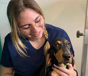 Heute stellen wir euch Pepe vor: Er ist ein 5 Monate alter Schweizer Niederlaufhund und hat in beiden Augen ein „Cherry...