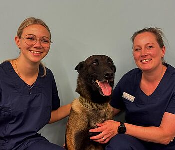 ✨Team-Update bei uns!✨

Wir freuen uns riesig, dass unsere liebe Nadine Völkel (ehemals Schwarz) mit voller Energie aus...